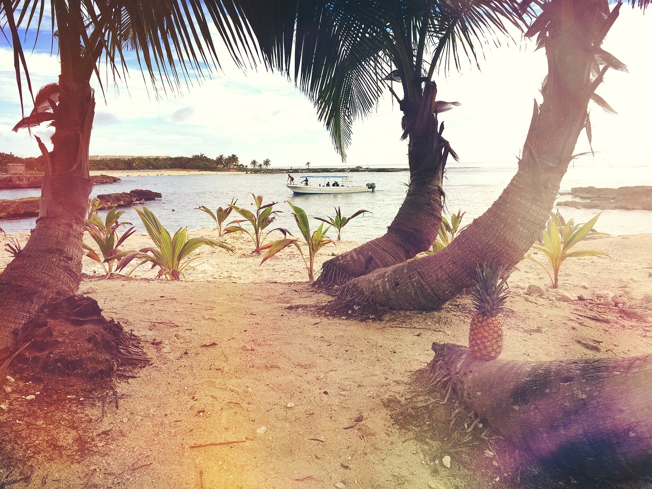 Image - beach boat palms palm trees sand