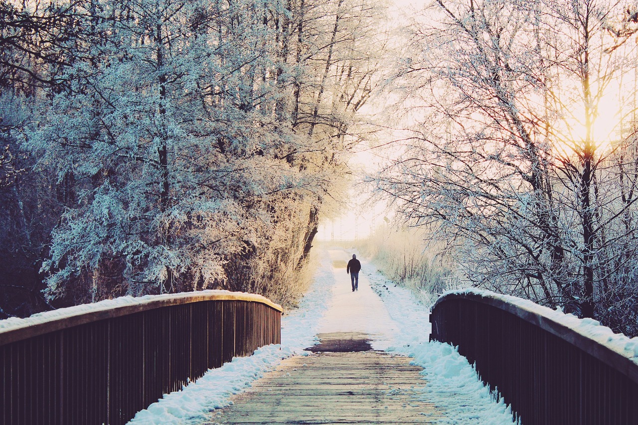 Image - man bridge lonely sun walk wintry