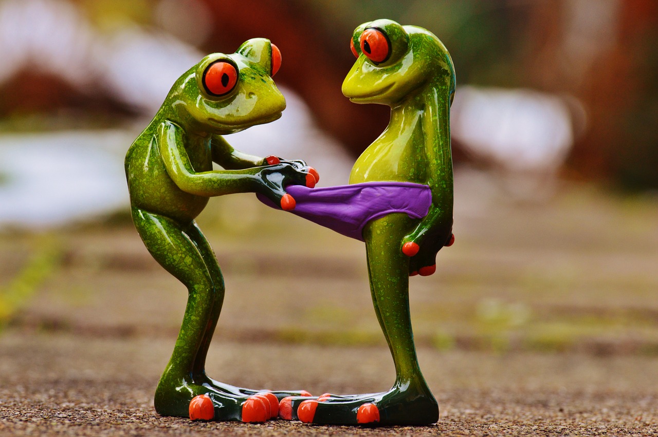 Image - frogs curious funny figures cute