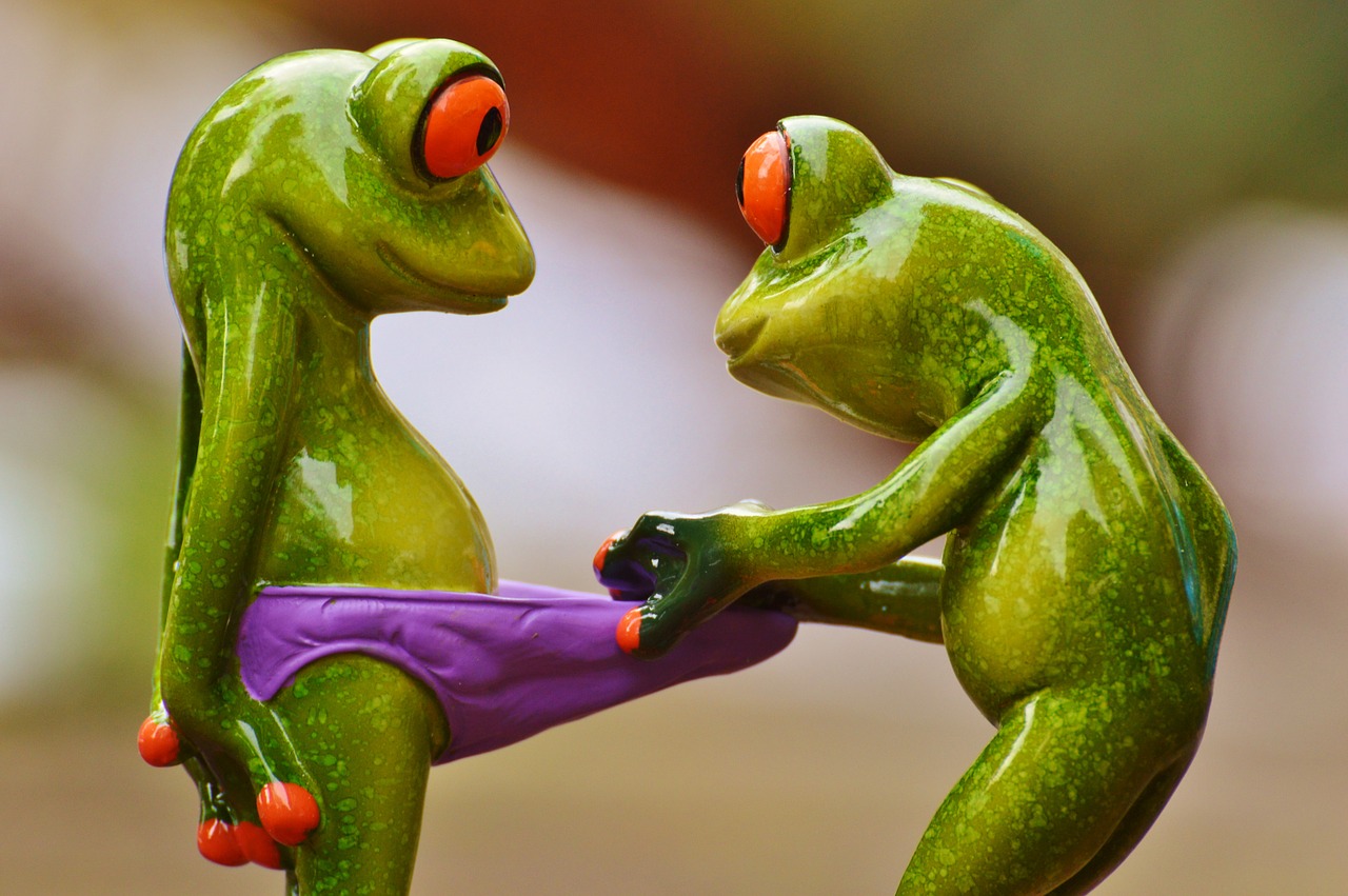 Image - frogs curious funny figures cute