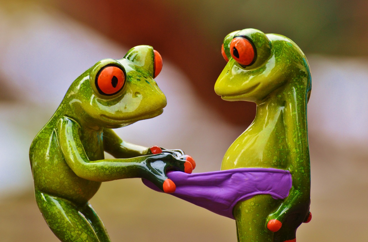 Image - frogs curious funny figures cute