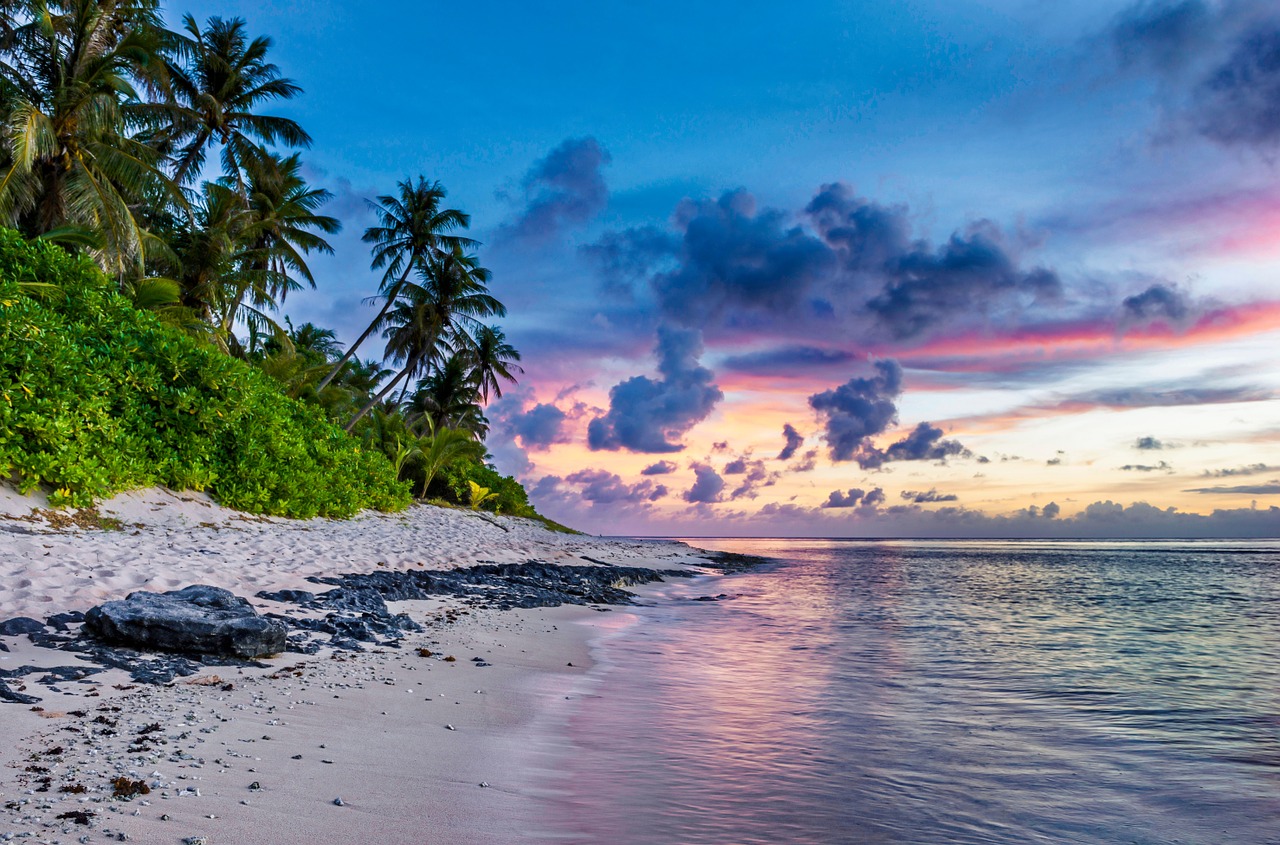 Image - tropical beach tropical beach water