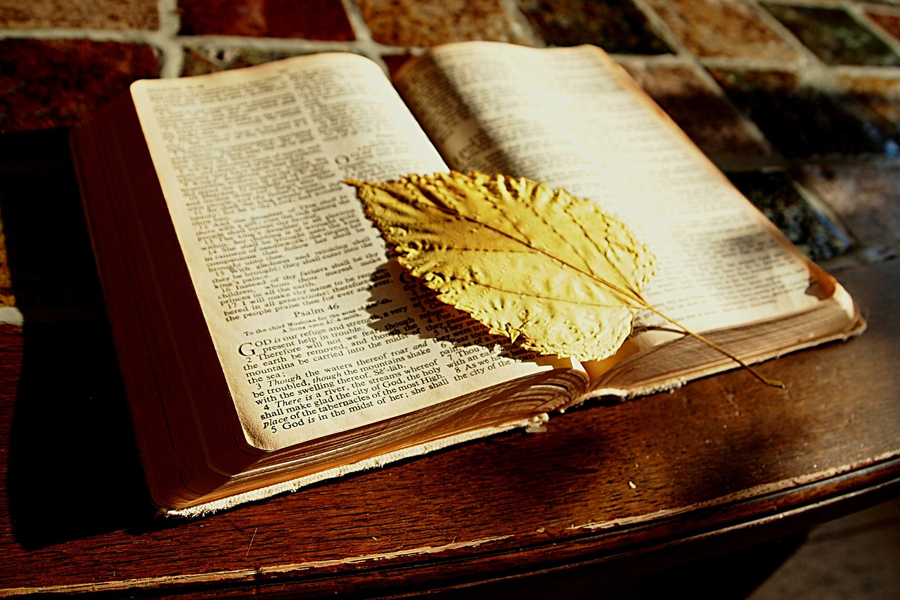 Image - bible read book bookmark faith