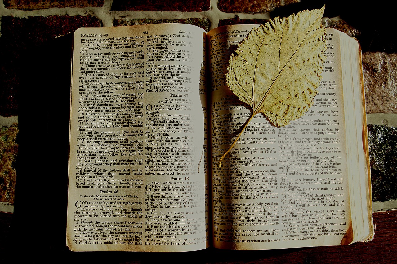 Image - bible bookmark dried leaf book
