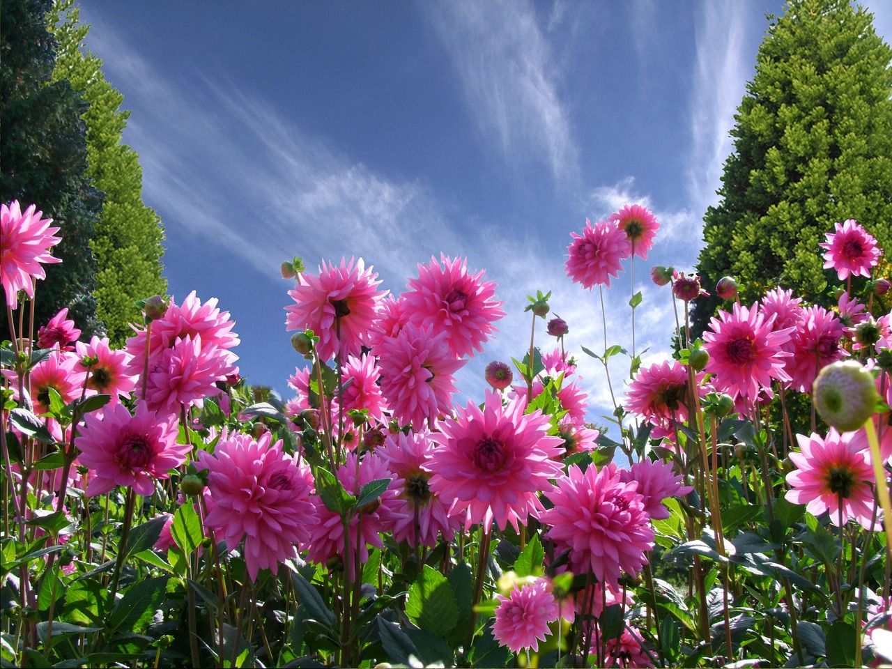 Image - a beautiful day good mood joy