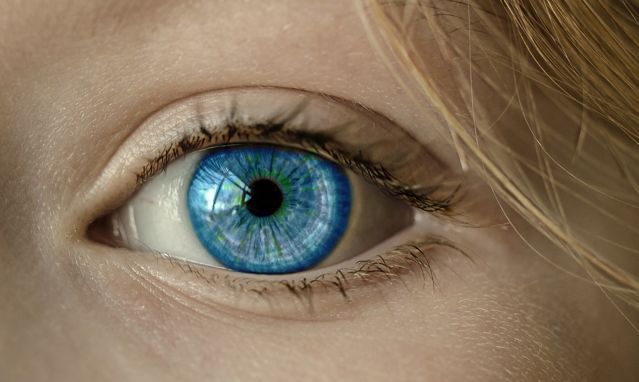 Image - eye blue eye iris pupil face