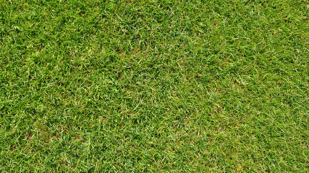 Image - grass green football football field