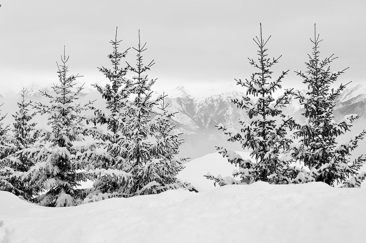 Image - snow alps haute savoie