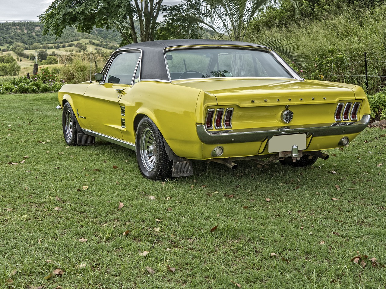 Image - car mustang yellow speed design