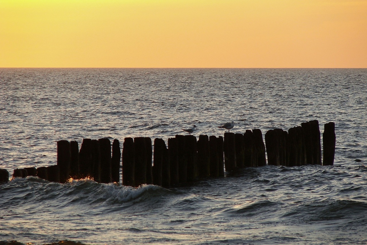Image - sea gulls breakwater sunset