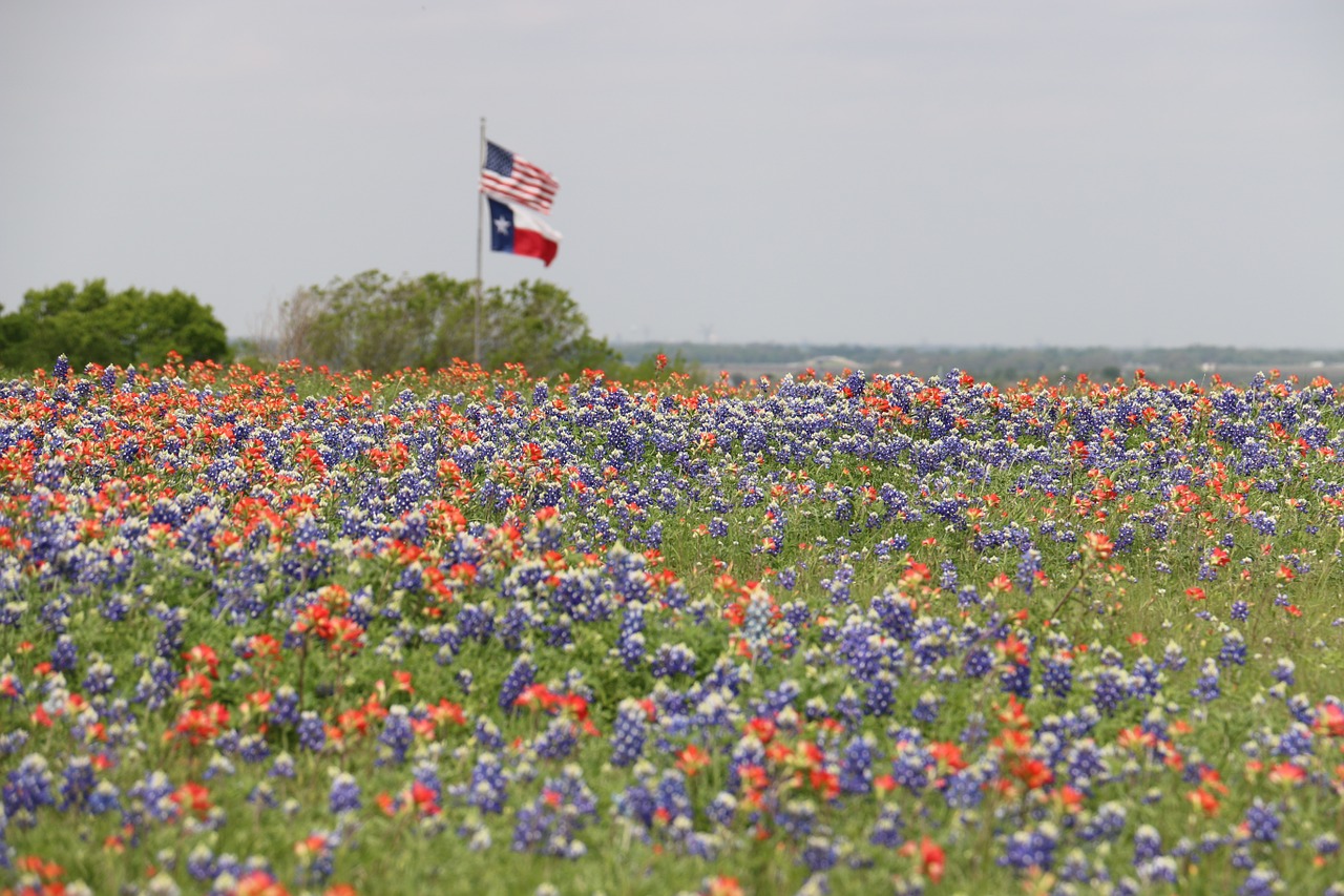 Image - flags texas flag us flag