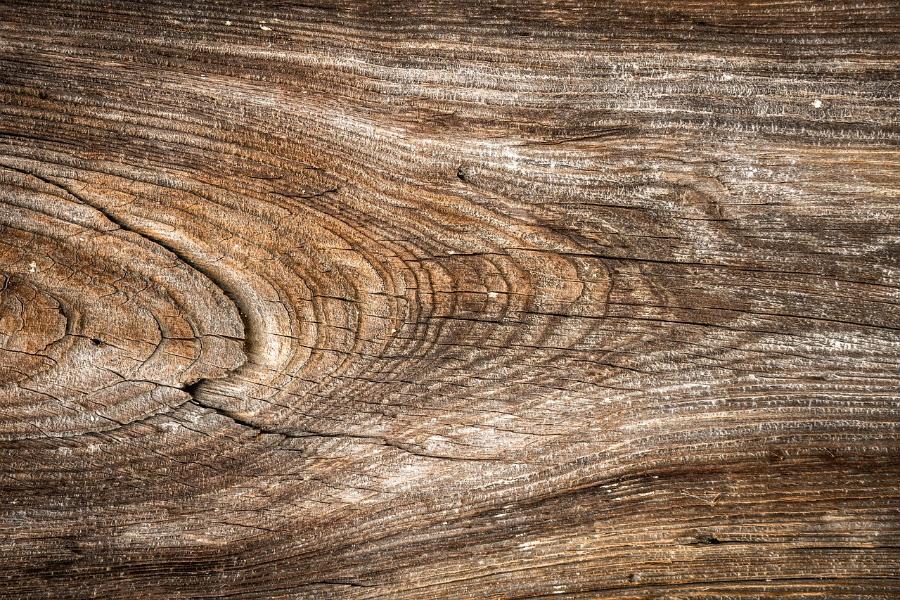 Image - wood texture wild hardwood