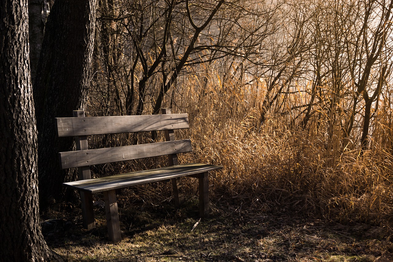 Image - bench bank seat nature out rest