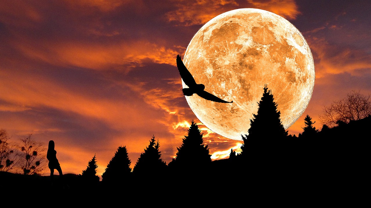 Image - composing image editing fantasy