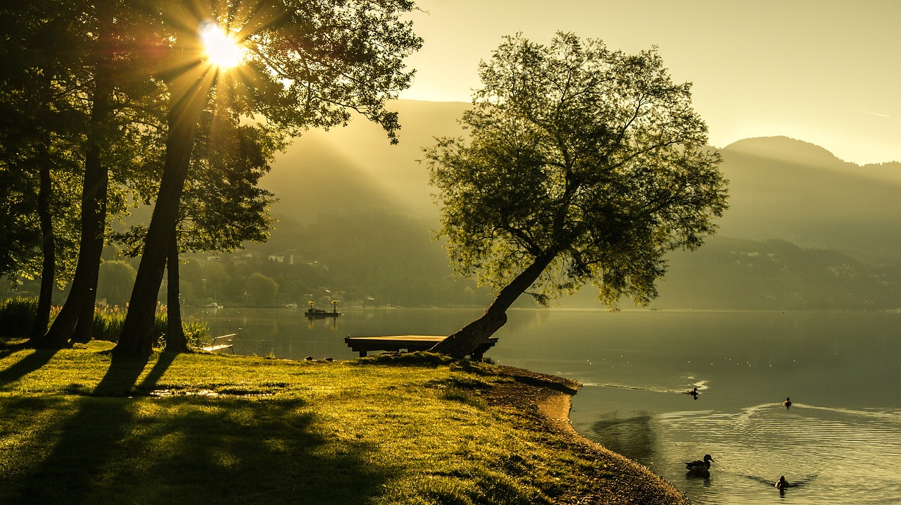 Image - landscape summer sunrise lighting