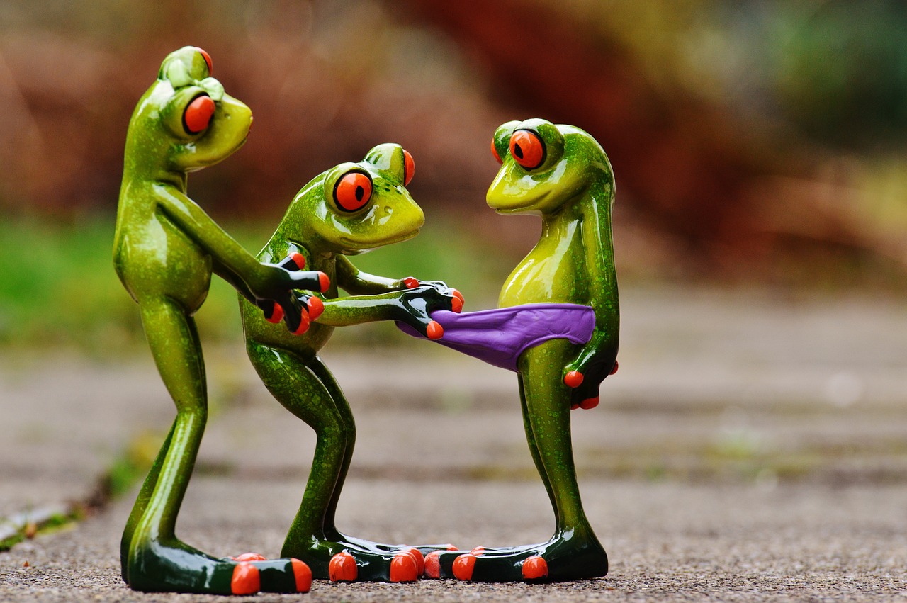 Image - frogs curious funny figures cute