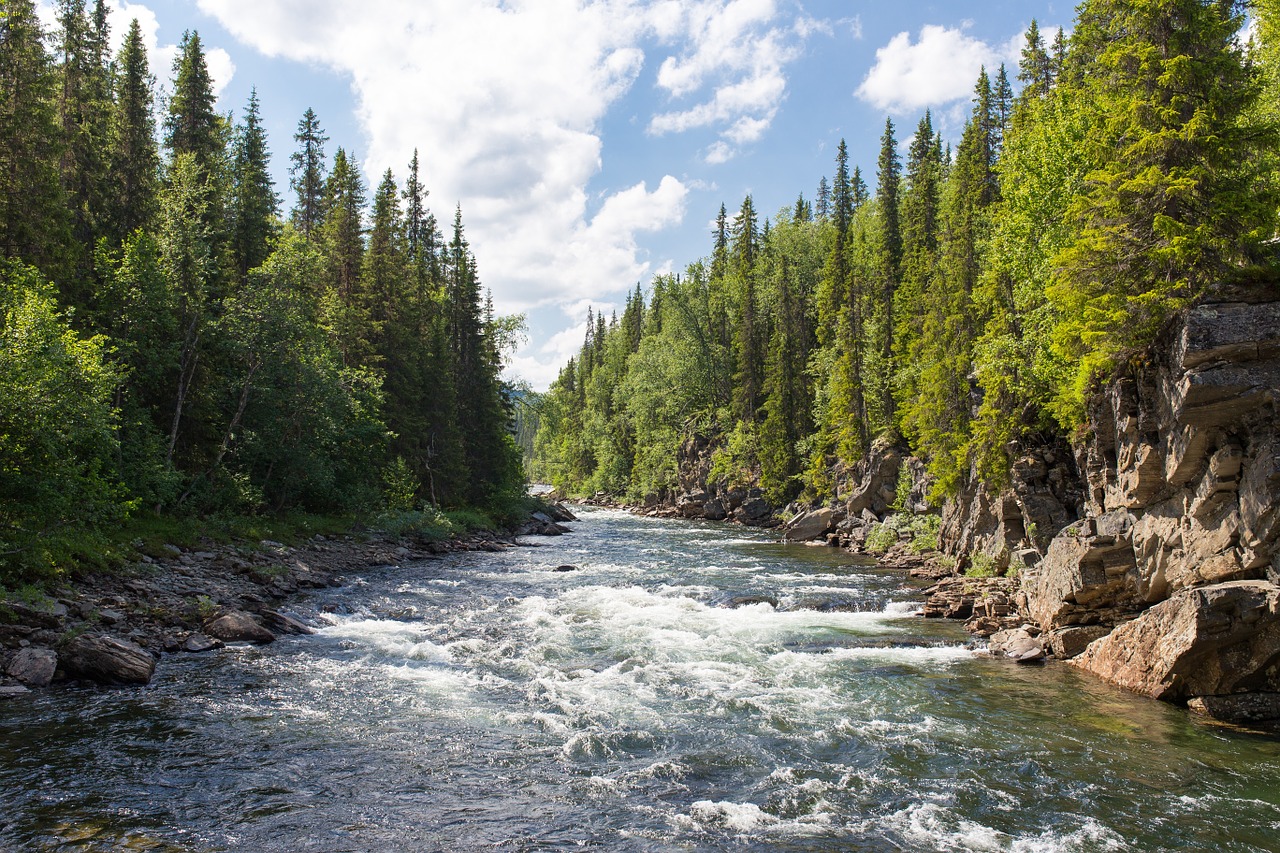 Image - river rapids gulch water stream