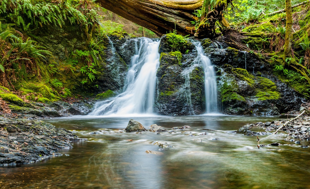 Image - water waterfall river stream