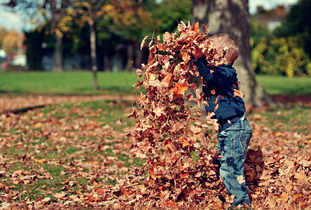 Image - boy playing leaves autumn child