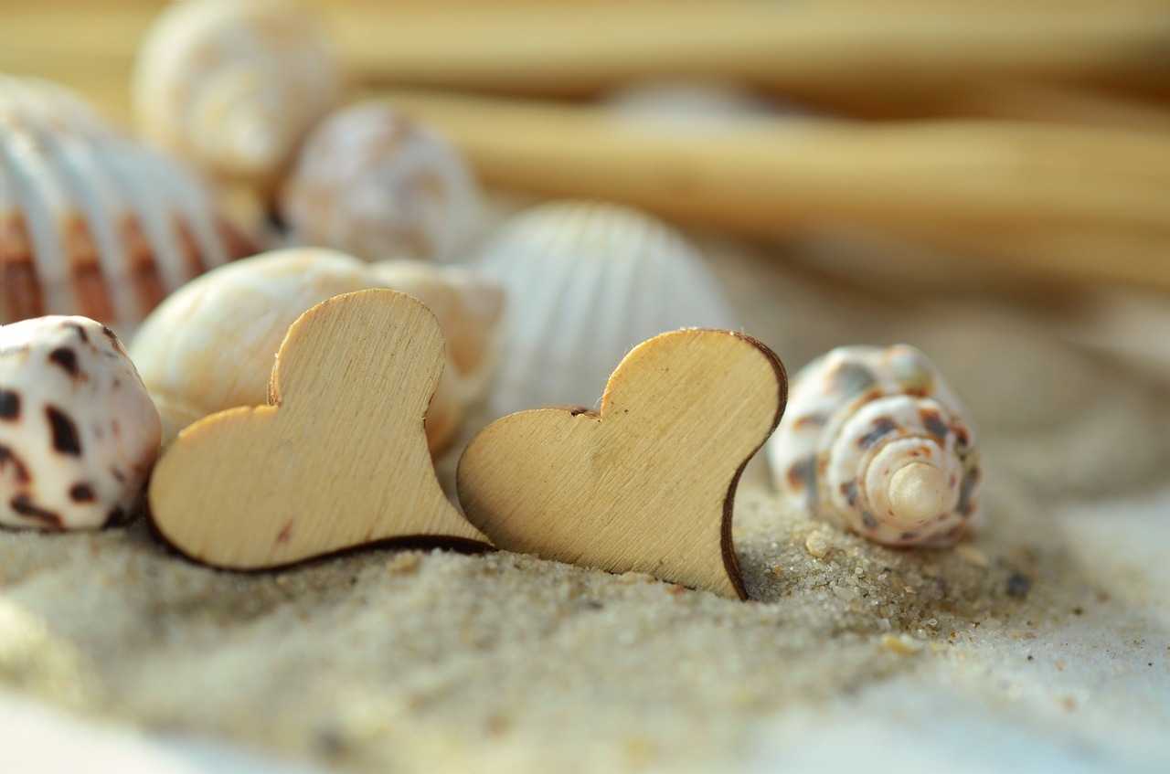 Image - sand heart wood mussels beach