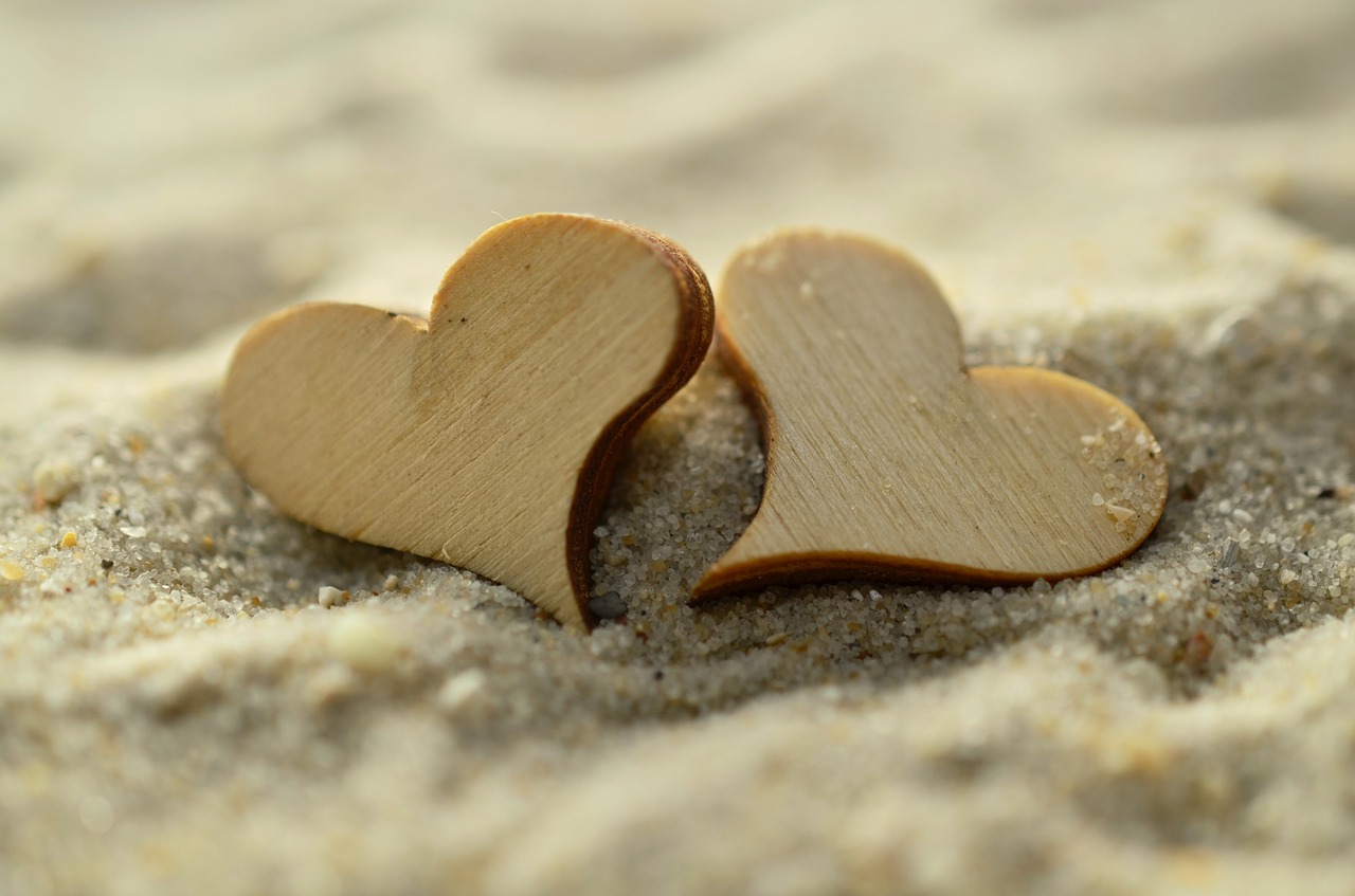 Image - sand heart wood mussels beach