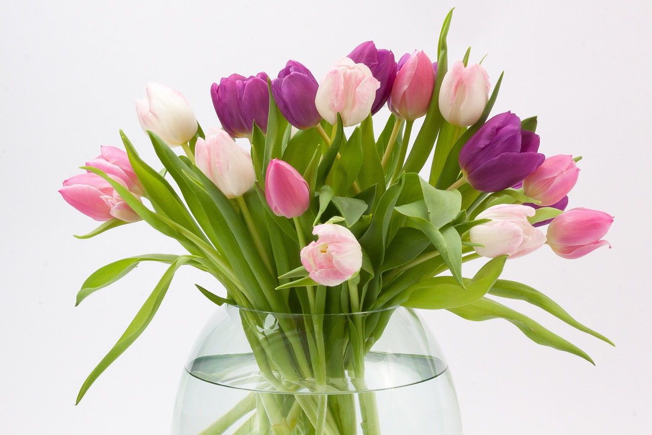 Image - tulip tulip bouquet spring flower