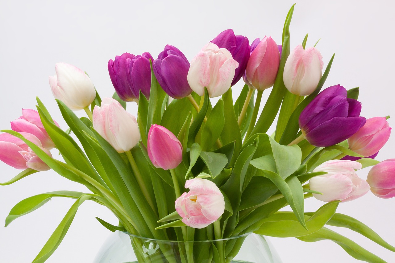 Image - tulip tulip bouquet spring flower