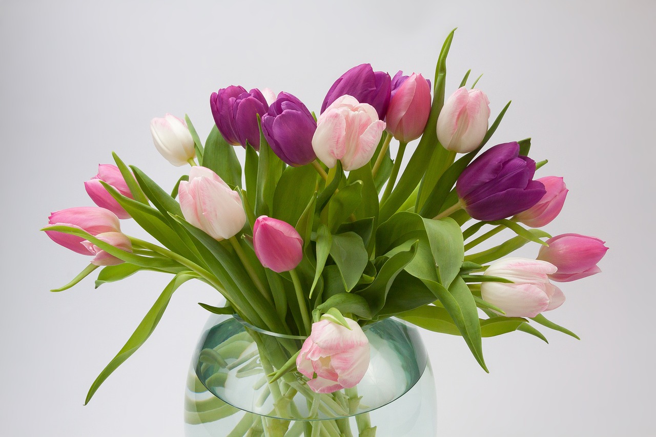 Image - tulip tulip bouquet spring flower