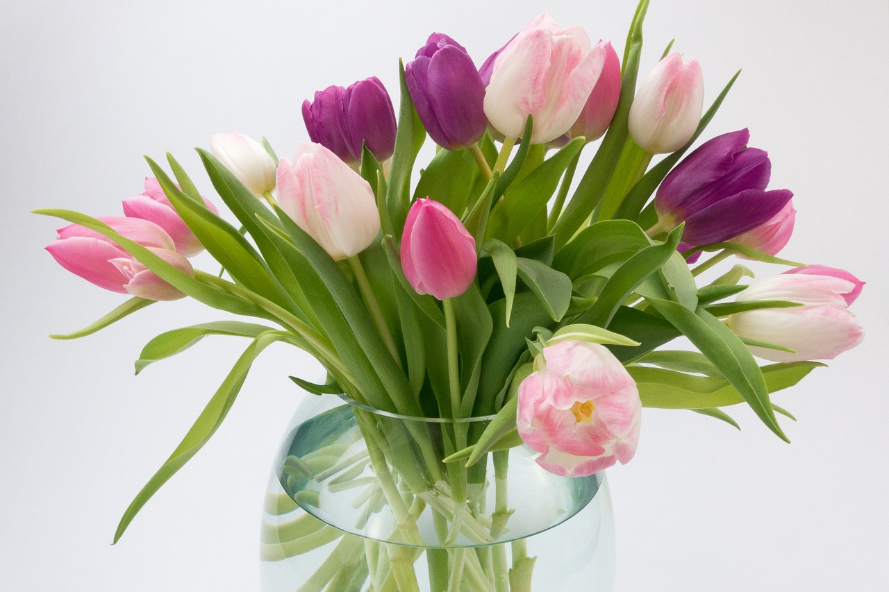 Image - tulip tulip bouquet spring flower