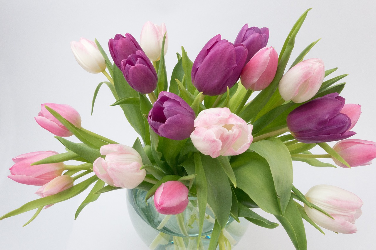 Image - tulip tulip bouquet spring flower