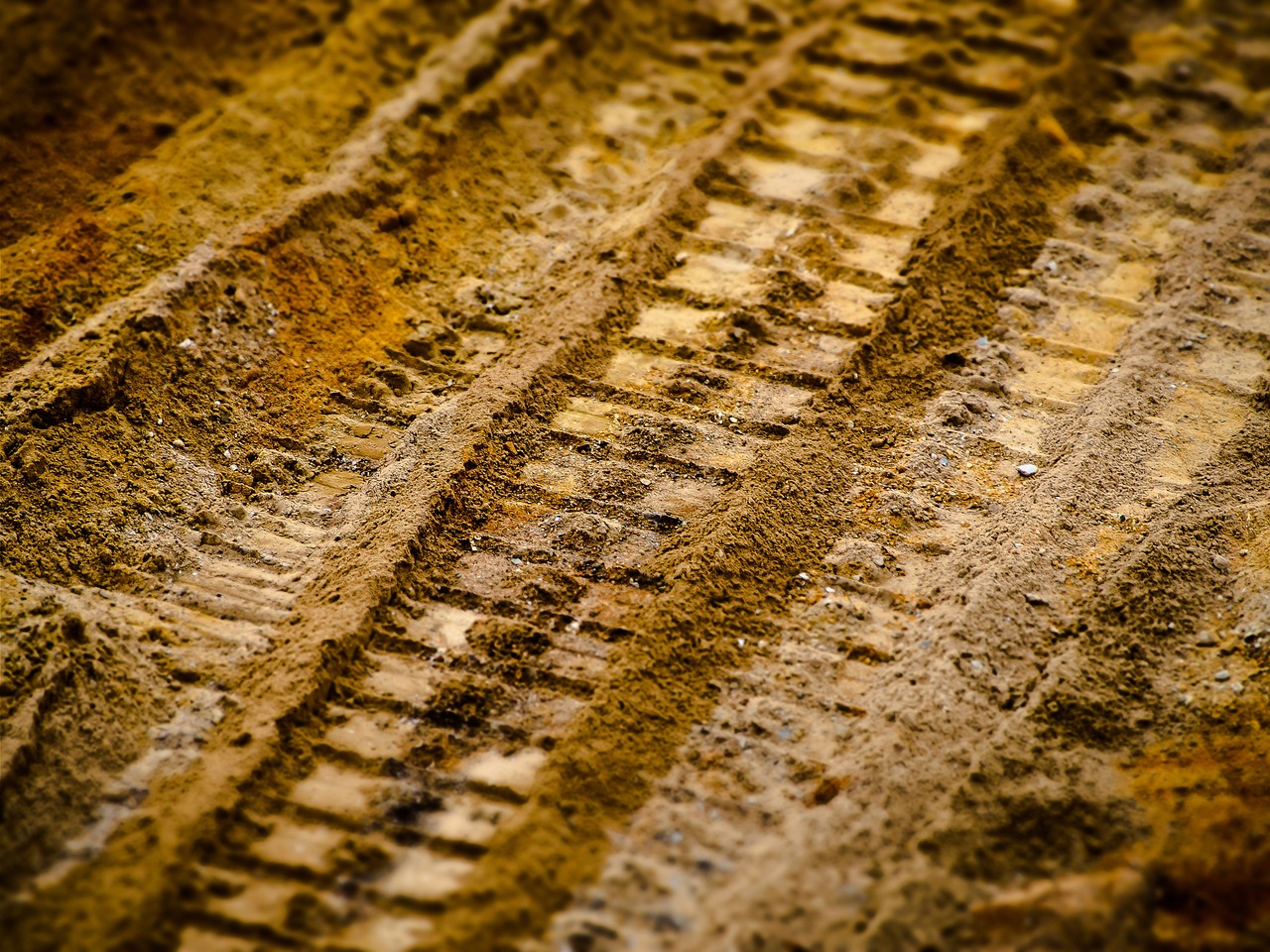 Image - sand traces tracks in the sand