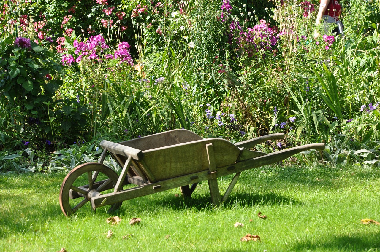 Image - wheelbarrow garden vegetable garden