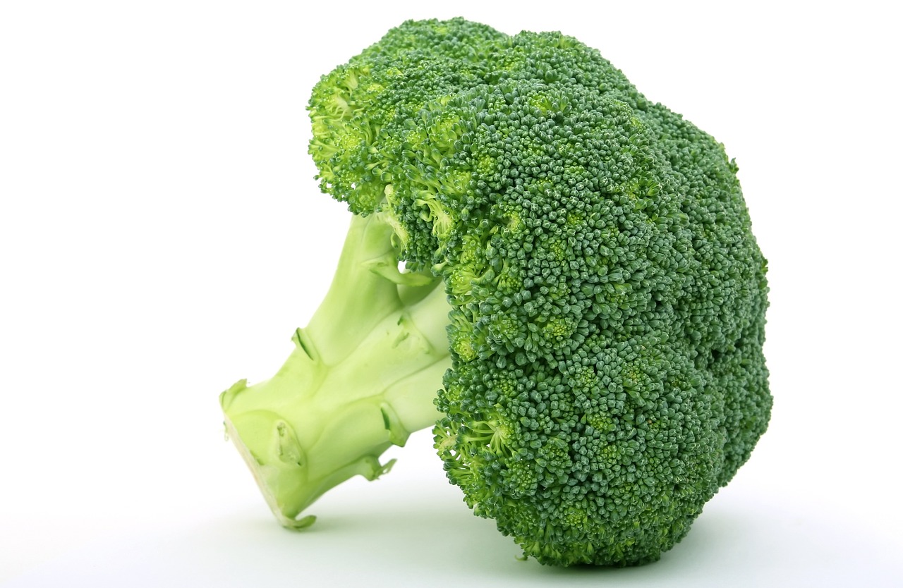 Image - appetite broccoli brocoli broccolli