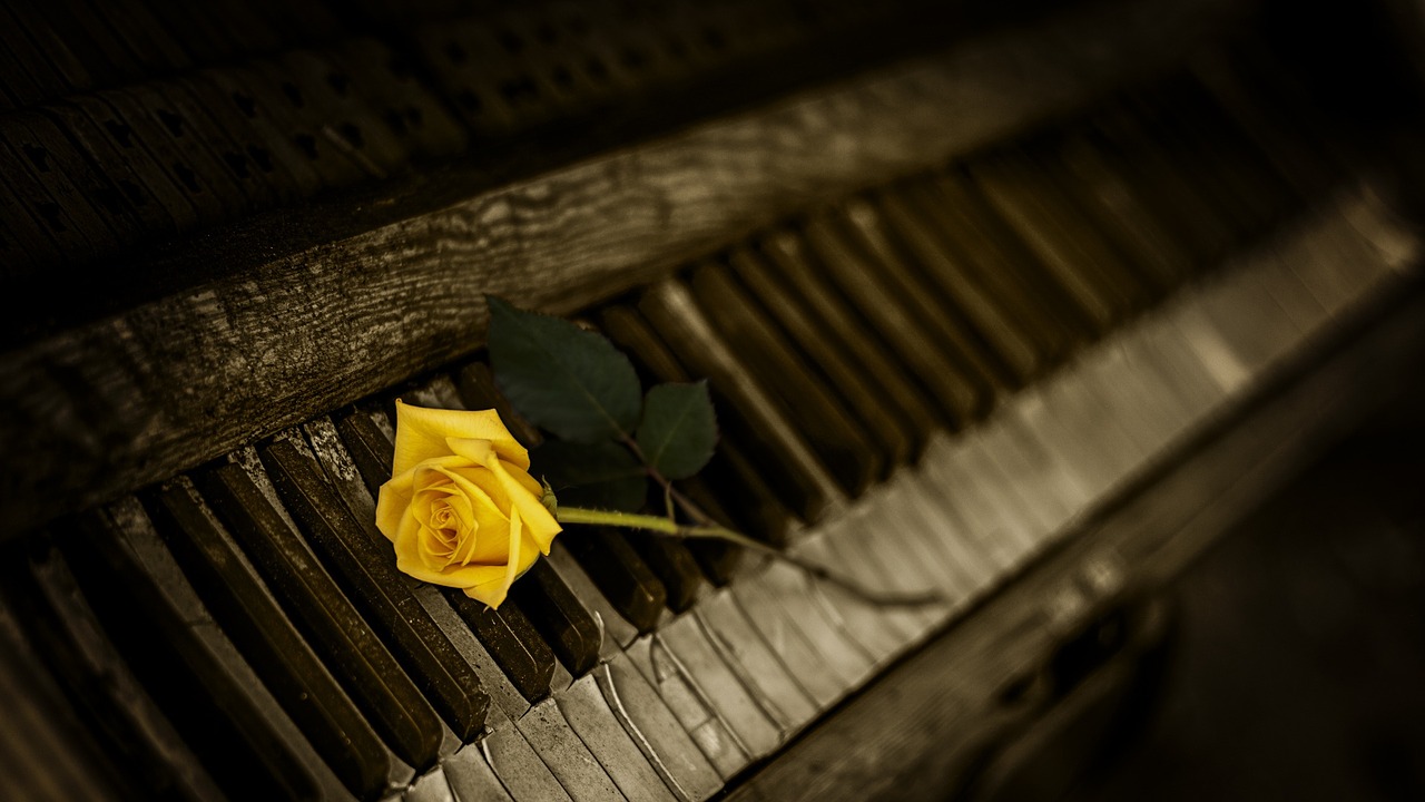 Image - piano rose yellow