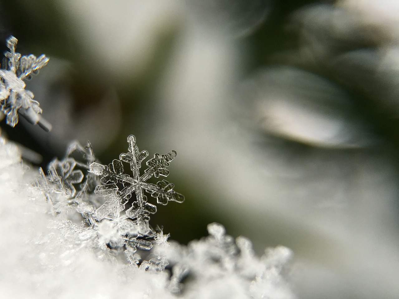 Image - snowflake macro frost frozen