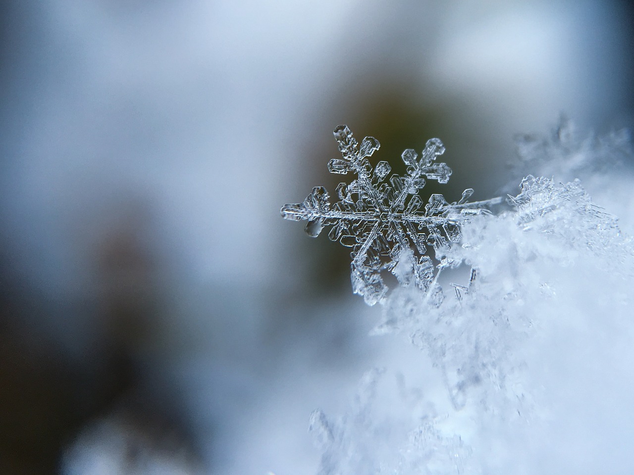 Image - snowflake snow crystal snow crystal