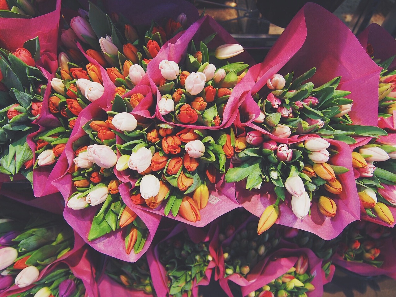 Image - flowers bouquet bouquet of flowers