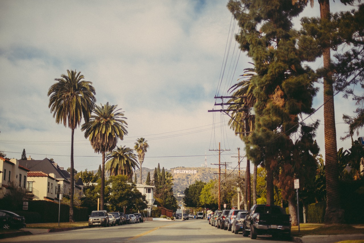 Image - hollywood sign palm trees