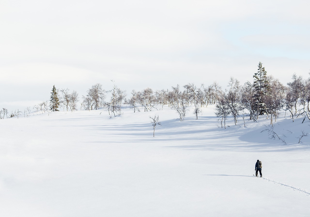 Image - winter snow ski person path trek