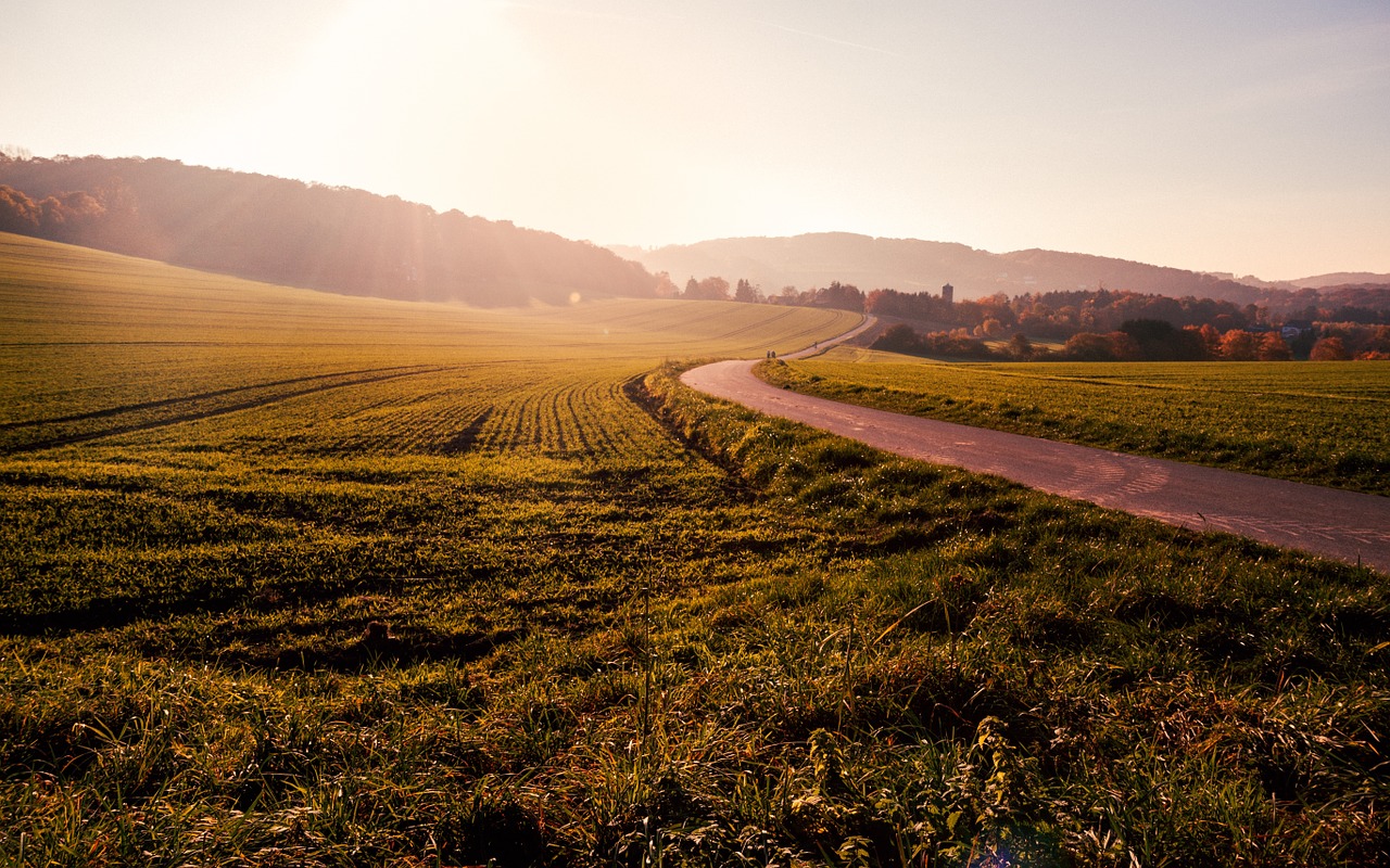 Image - field grass winding road sunset