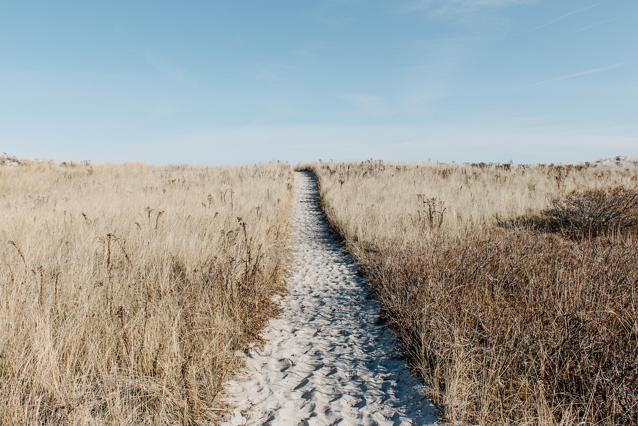 Image - prairie path field scenic natural