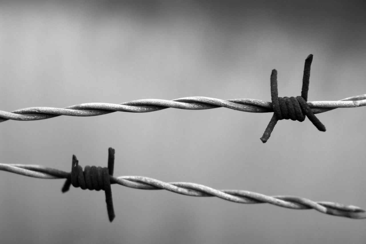Image - barbed wire rust rusty wire bound