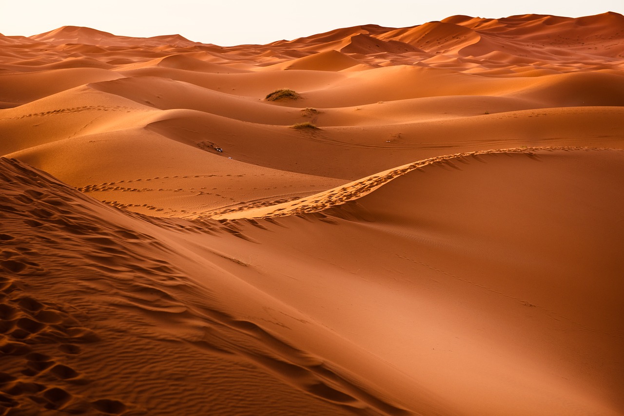Image - desert morocco sand dune dry