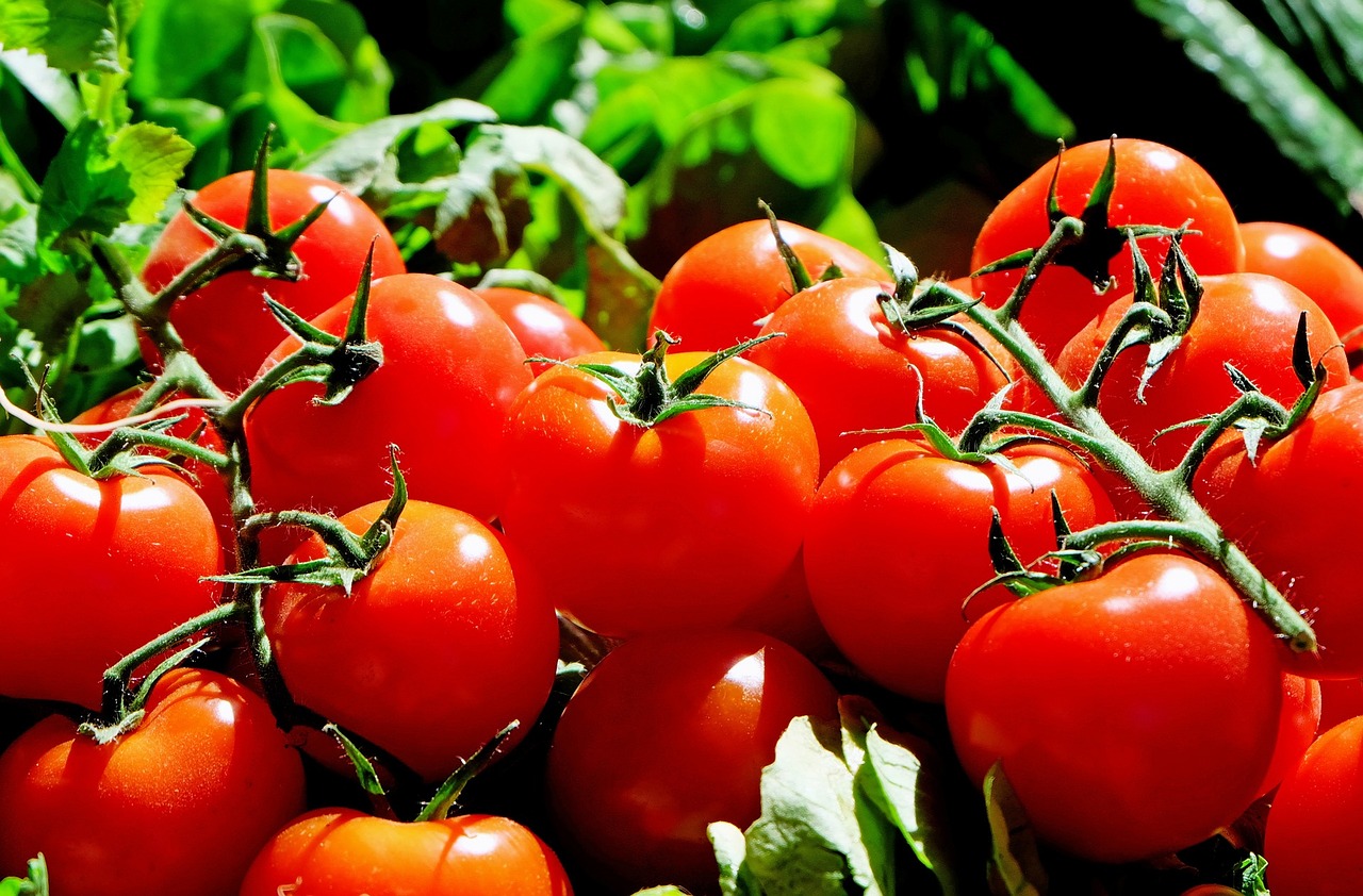 Image - tomatoes red food frisch market