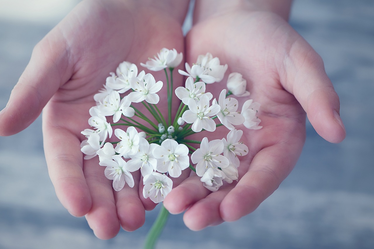 Image - flower flowers small flowers white