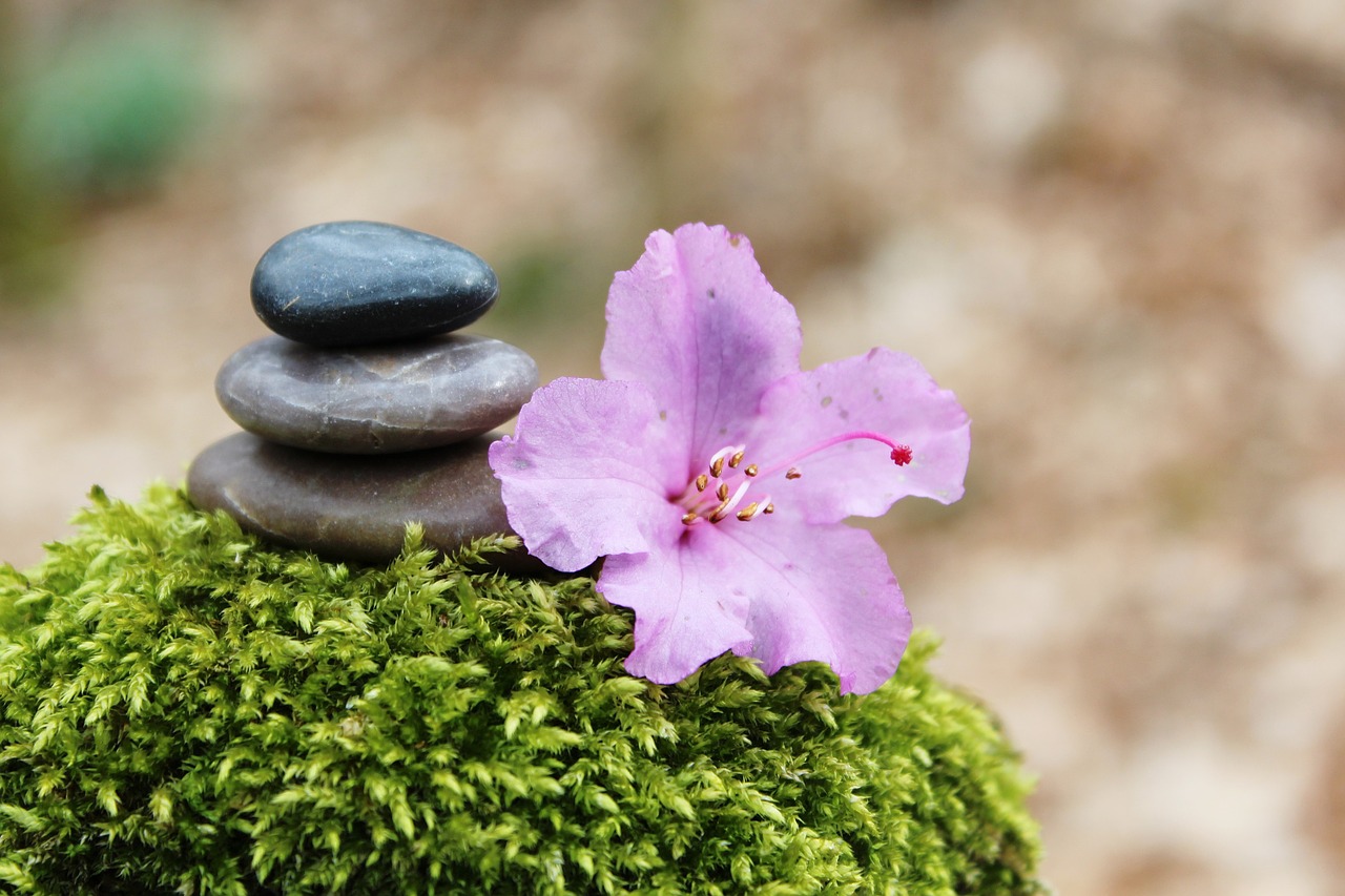 Image - azalea stone pile stack stones