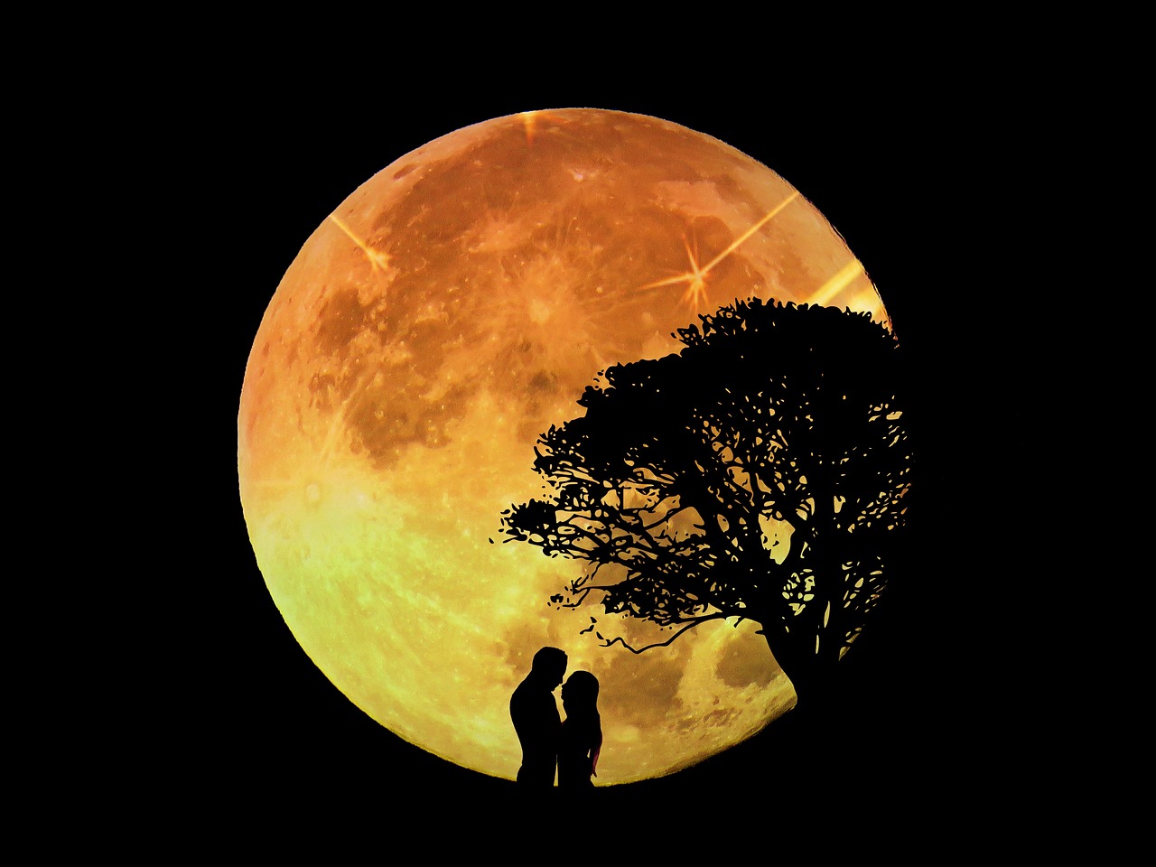 Image - lovers pair moon moonlight romance