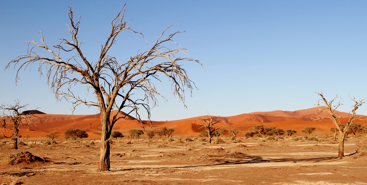 Image - desert namibia dunes africa
