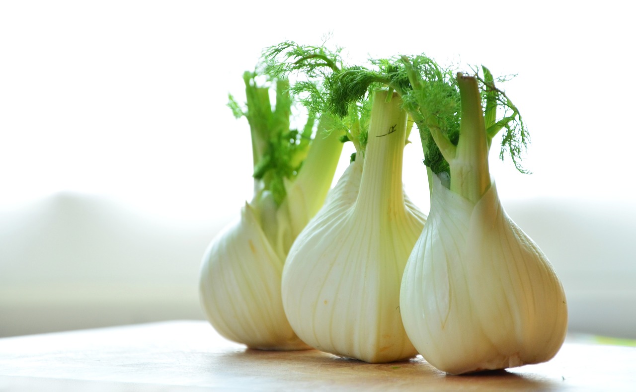 Image - fennel vegetables fennel bulb food