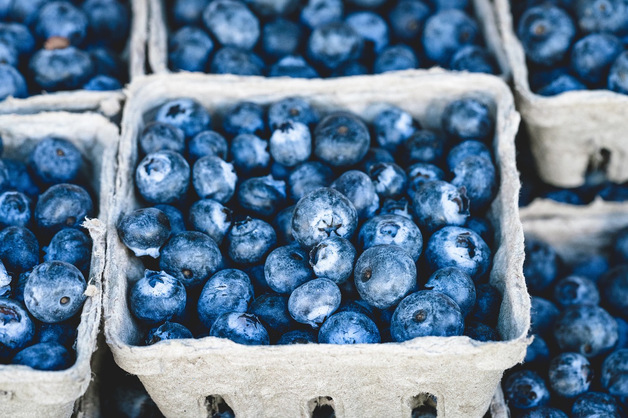 Image - blue blueberry delicious fruit